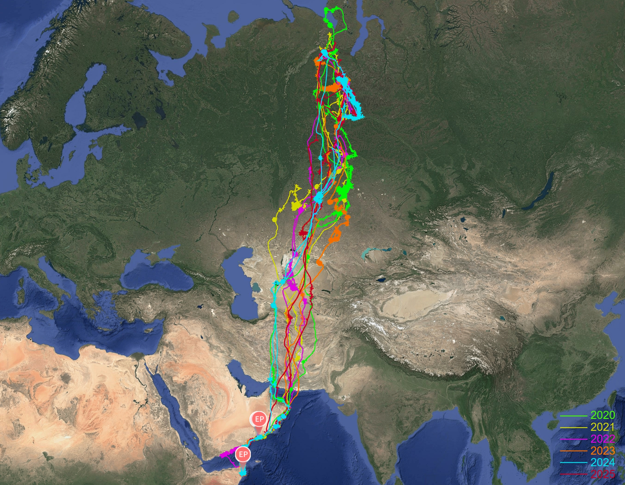 Image loading failure